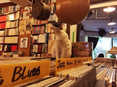 冬日的回响 在寒潮中追忆昆明的那一场银装素裹